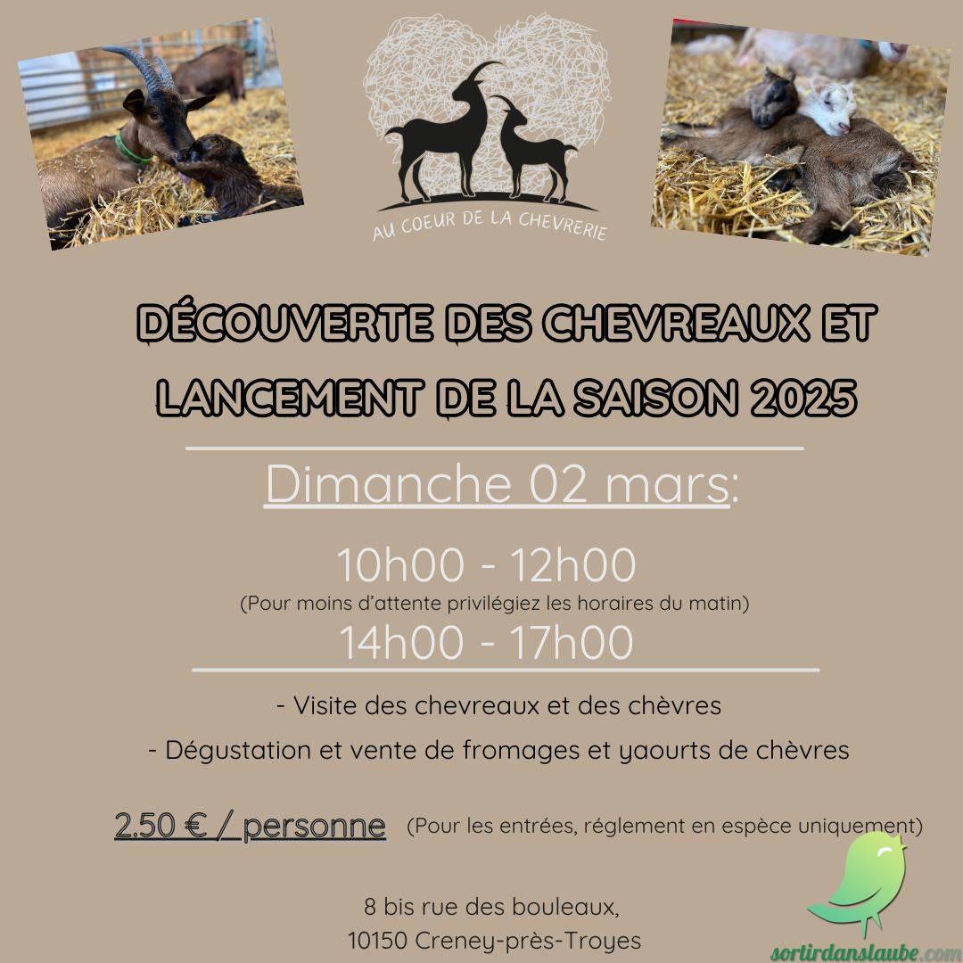 Découverte des chevreaux - 0