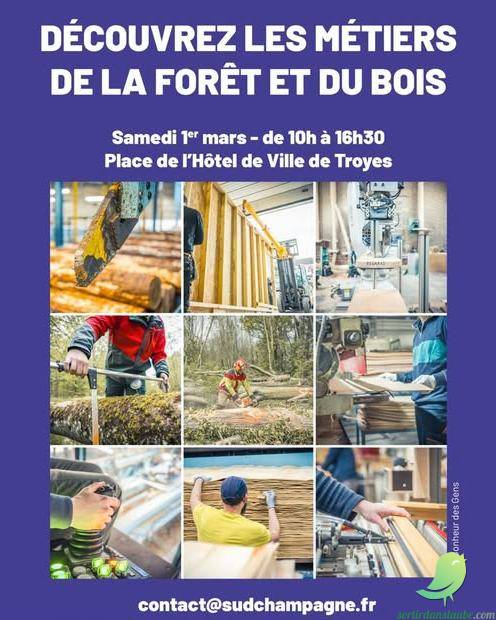 Découverte des métiers de la forêt et du bois - 0