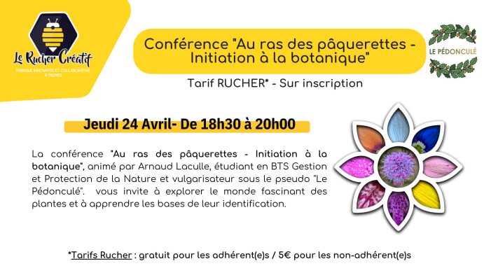 Conférence « Au ras des pâquerettes – Initiation à la botanique » - 0