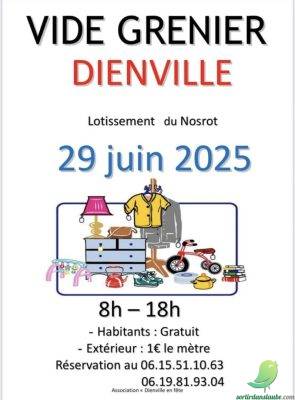 Vide grenier: Dienville - 0