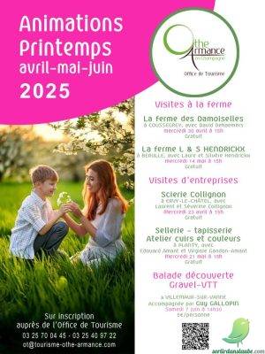 Visite d&rsquo;entreprise: Scierie Collignon - 0