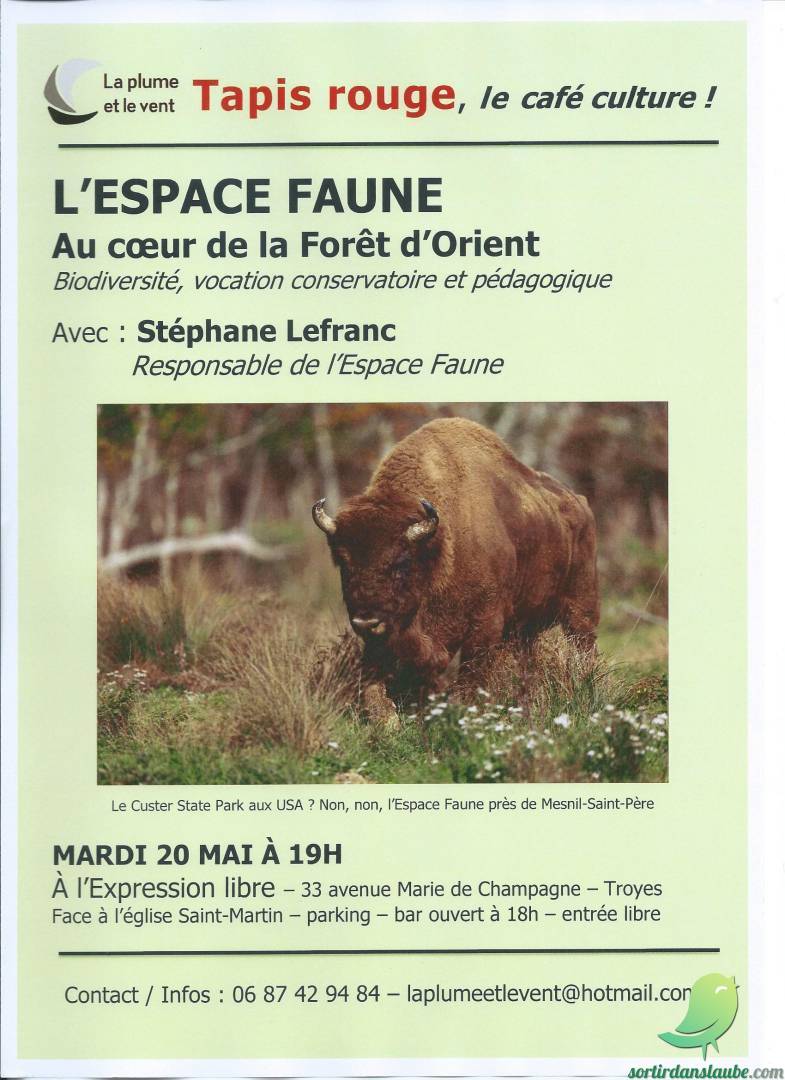 Tapis Rouge: l’Espace Faune - 0