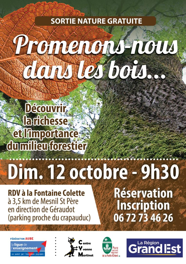 Promenons-nous dans les bois… - 0