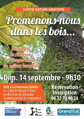 Promenons-nous dans les bois - 0