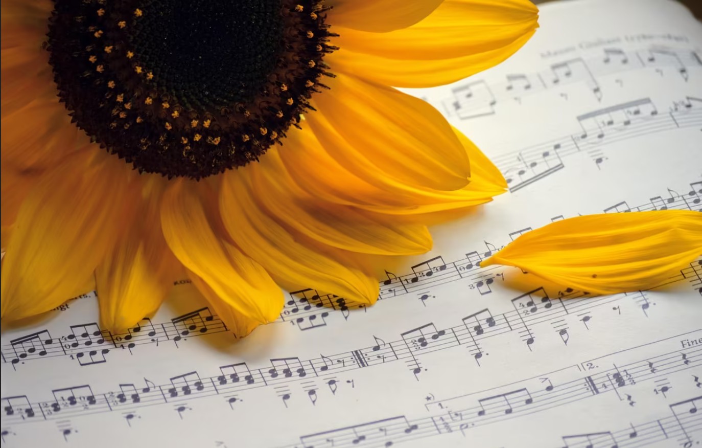 Mardis musicaux du Conservatoire - 0
