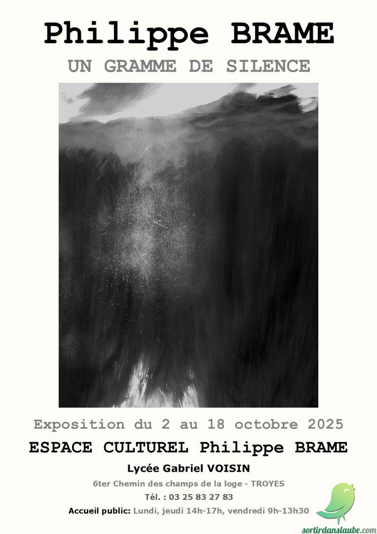 Exposition: Un gramme de silence - 0