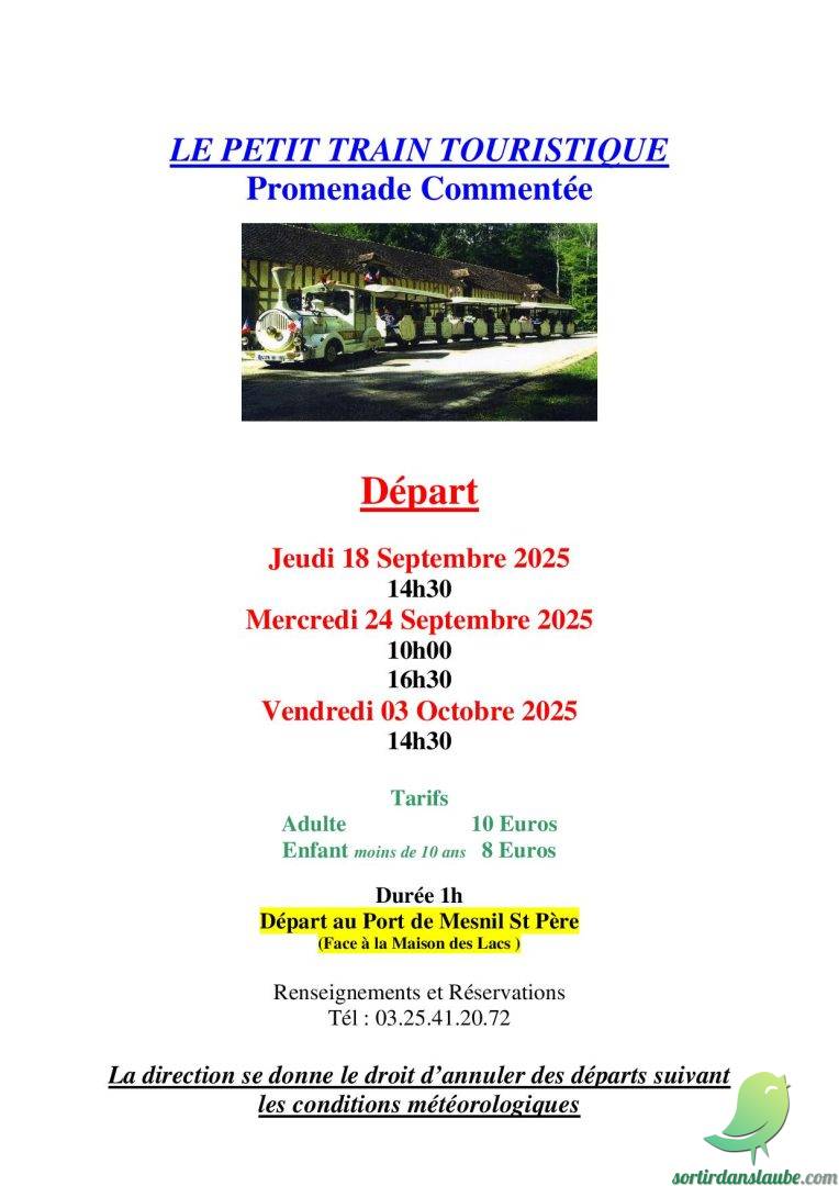 Petit train touristique - 0