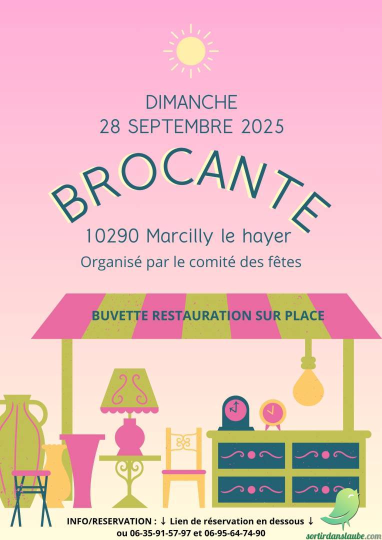 Vide grenier: Marcilly le Hayer - 0
