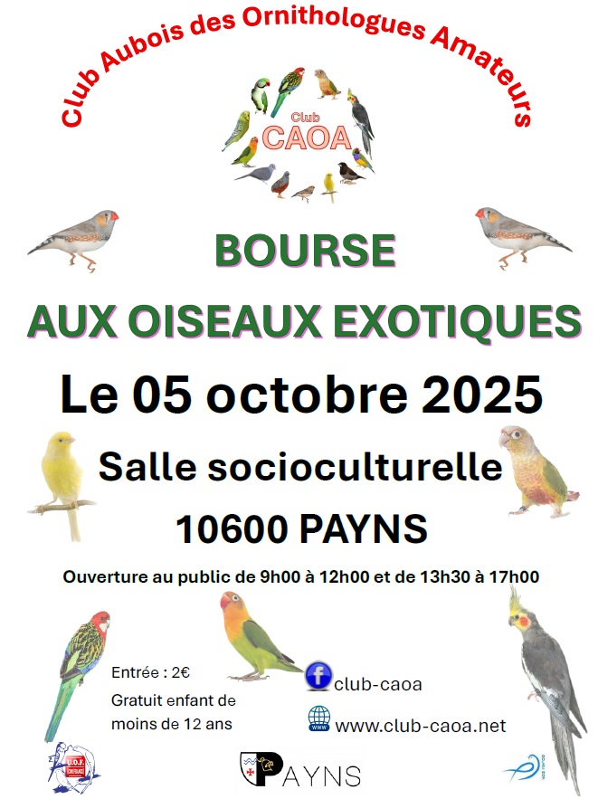 ANNULÉE! Bourse aux oiseaux du CAOA - 0