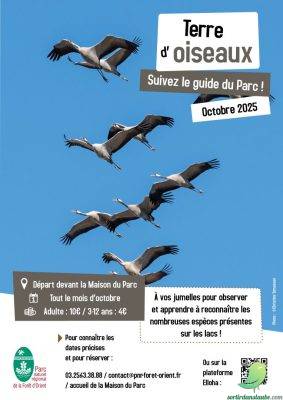 Sortie guidée « Terre d’oiseaux » - 0