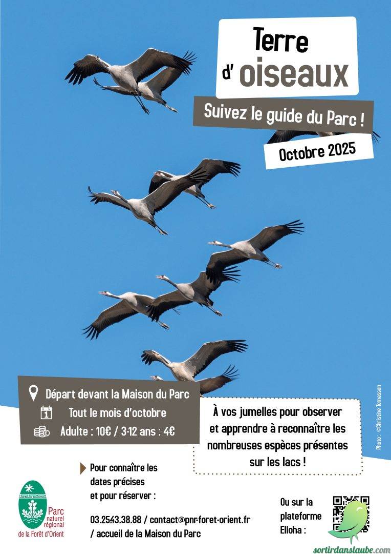 Sortie guidée « Terre d’oiseaux » - 0