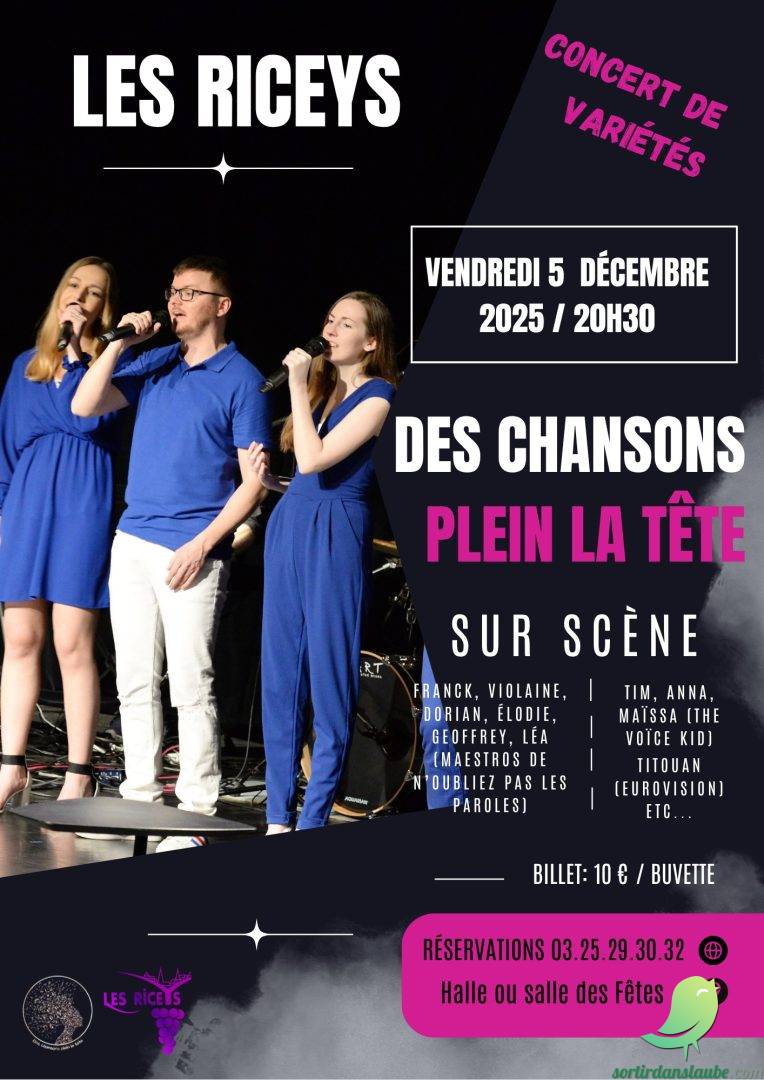 Des Chansons Plein la Tête - 0