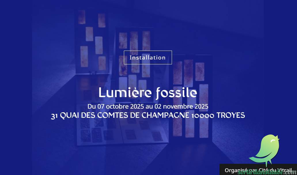 Lumière fossile - 0