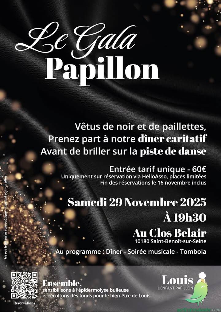 ANNULÉE! La Gala Papillon: dîner caritatif et soirée solidaire - 0