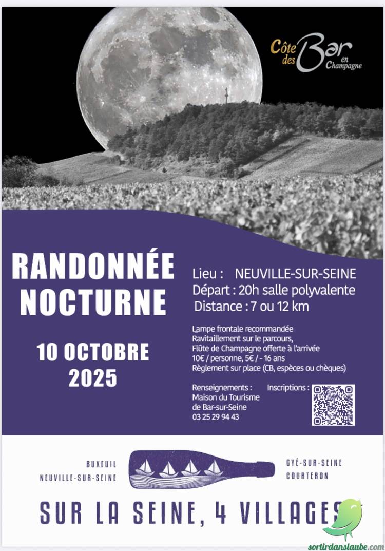 Randonnée nocturne - 0