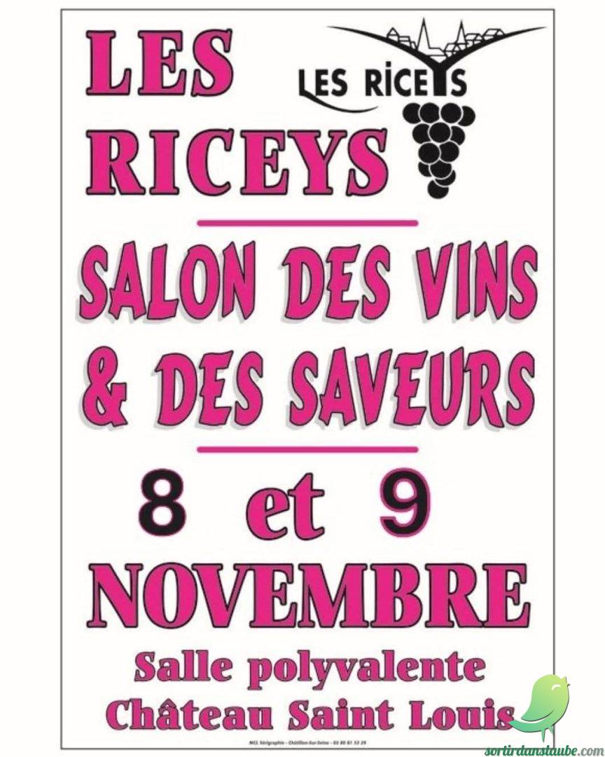 Salon des vins et des saveurs - 0