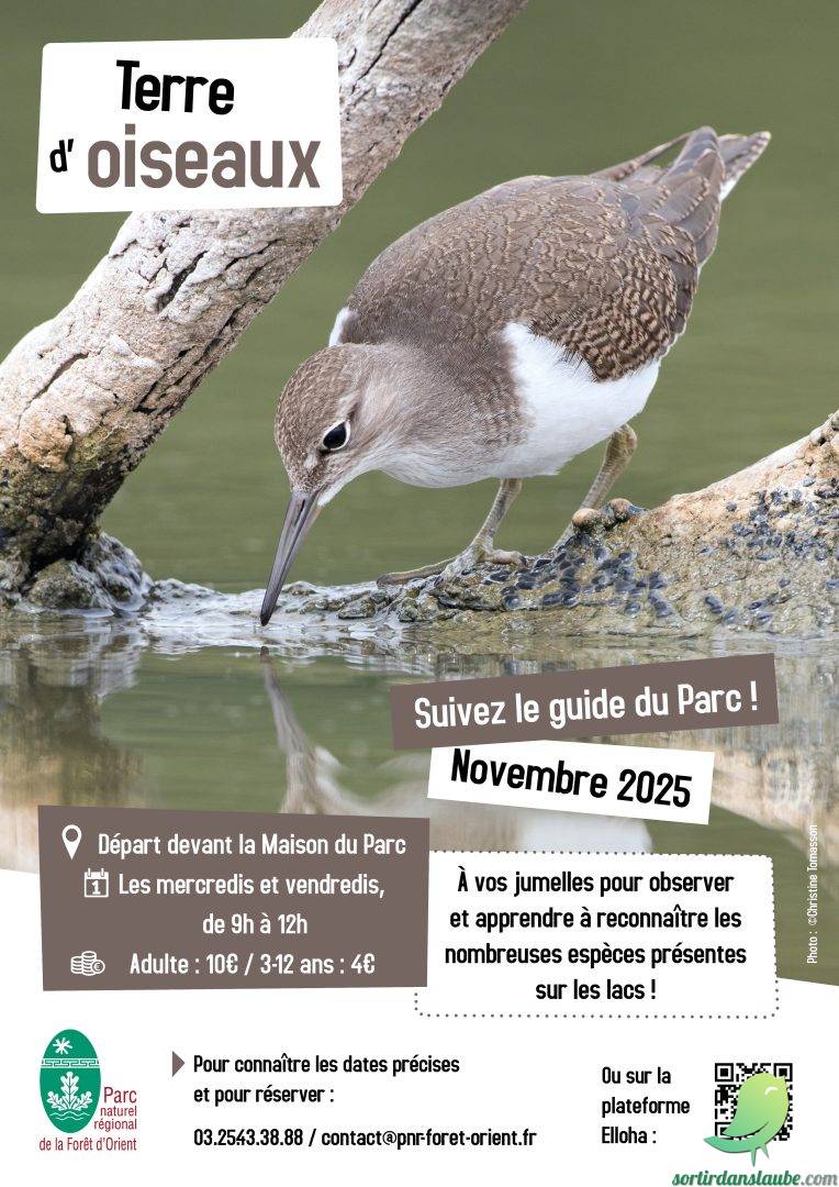 Sorties « Terre d’oiseaux » - 0