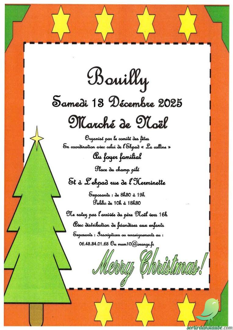 Marché de Noel: Bouilly - 0
