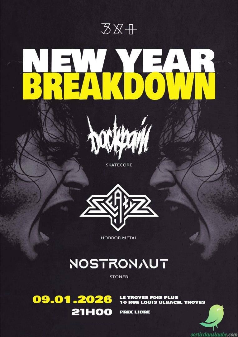 Concert New Year Breakdown - 0