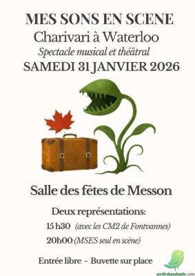 Spectacle: mes sons en scène - 0