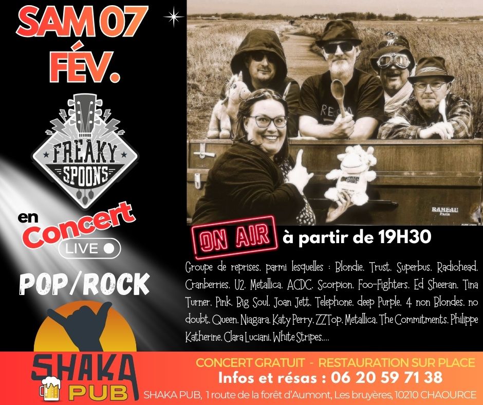 Les FREAKY SPOONS en concert - 0