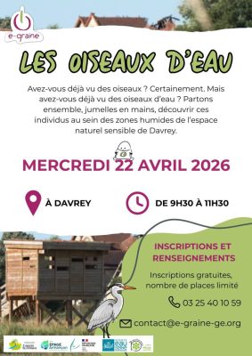 LES OISEAUX D&rsquo;EAU - 0