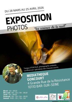 Exposition photos - 0