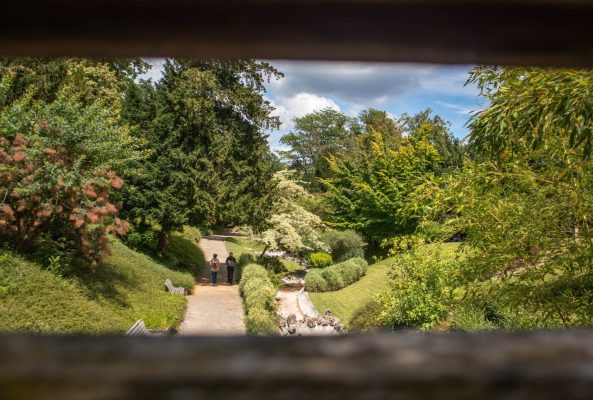 Visite guidée « Les jardins du XIXe s  » - 0