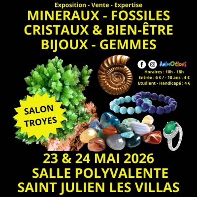 Salon Minéraux Fossiles Cristaux & Bien-Être Bijoux et Gemmes de Troyes - 0