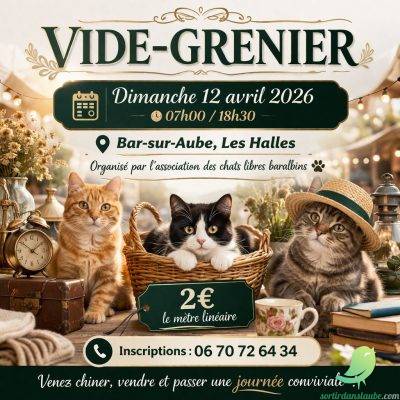 Vide grenier: Bar sur Aube - 0