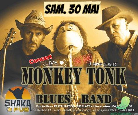 Les MONKEY TONK blues band - 0