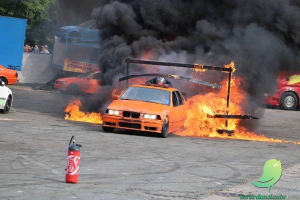 American Motor Show – Cascadeurs de l&rsquo;extrême - 1