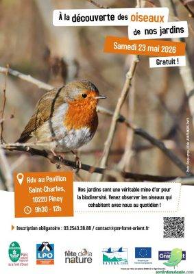 A la découverte des oiseaux de nos jardins - 0