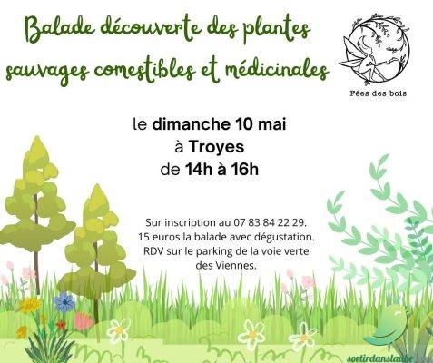 Balade à la découverte des plantes sauvages - 0