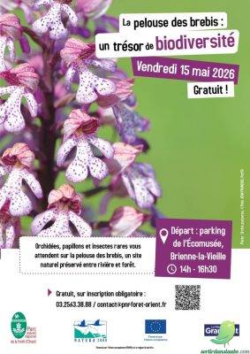 La pelouse des brebis : un trésor de biodiversité - 0