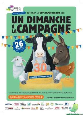 Un dimanche à la campagne: Les Champignons de Cussangy - 0