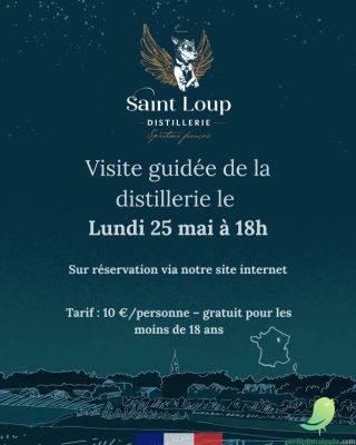 Visite guidée de la distillerie Saint Loup - 0