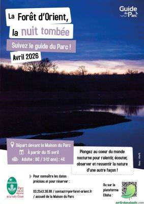 La Forêt d’Orient, la nuit tombée - 0