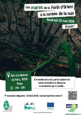 Les mares de la Forêt d’Orient à la tombée de la nuit - 0