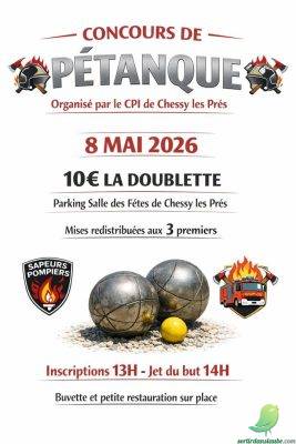 Concours de pétanque - 0