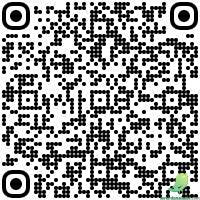 Vide grenier: Troyes - 1