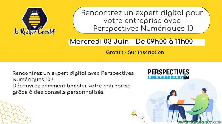Rencontrez un expert digital pour votre entreprise avec Perspectives Numériques 10 - 0