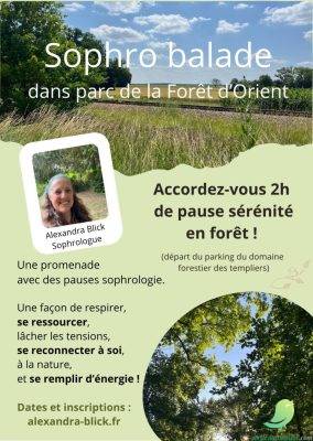 Sophro-balade en forêt - 0