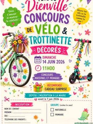 Vide grenier et fête patronale: Dienville - 2