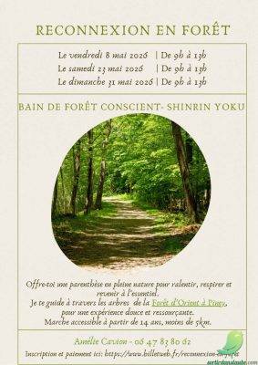 Reconnexion en forêt, découvre la magie de la sylvothérapie humaniste - 0