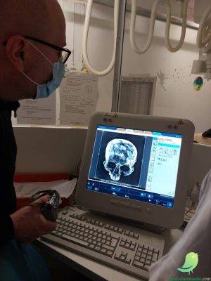 Conférence : Dans l’intimité du prince de Lavau (Aube) : Etude d’un homme de pouvoir et traitement post-mortem d’un défunt hors-normes - 0