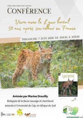 Printemps des Viennes - 3