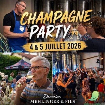 Champagne Party: Champagne Mehlinger - 0