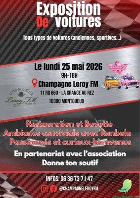 Exposition de voitures - 0