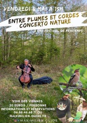 Festival de Printemps - 0